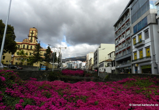 12-03-01-funchal-172