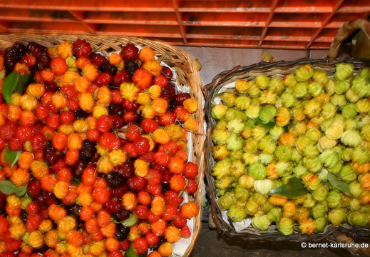 12-03-01-funchal-bauernmarkt-brasilianische-kirsche-297
