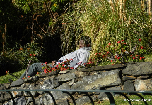 12-03-03-funchal-katarinenpark-parque santa catarina-schlafender-mann-50