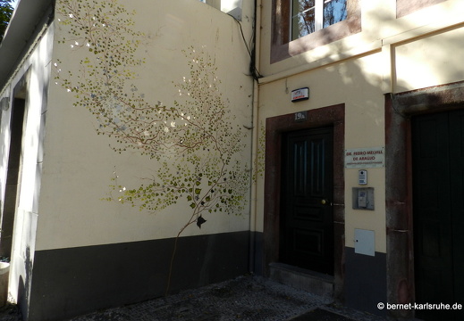 12-03-04-funchal-altstadt-169