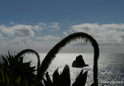12-03-04-funchal-promenade-camara-49