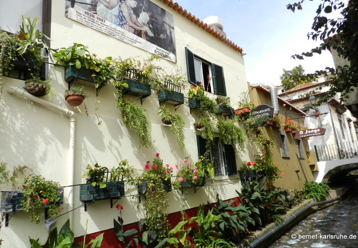 12-03-10-funchal-altstadt-hausfront-199
