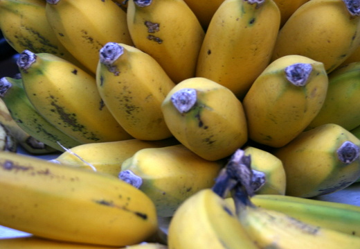 12-03-13-funchal-bauernmarkt-bananen-184