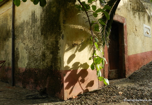 12-03-10-funchal-boa-vista-044