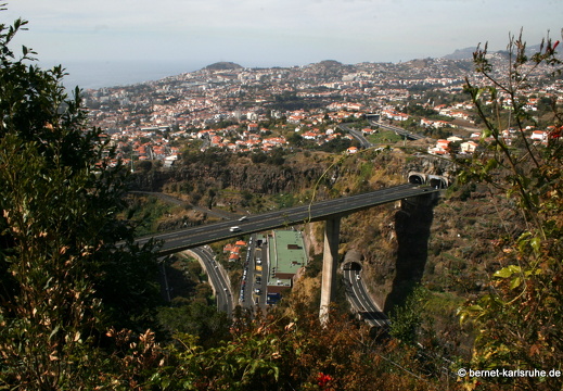 12-03-06-funchal-botanischer-garten-138