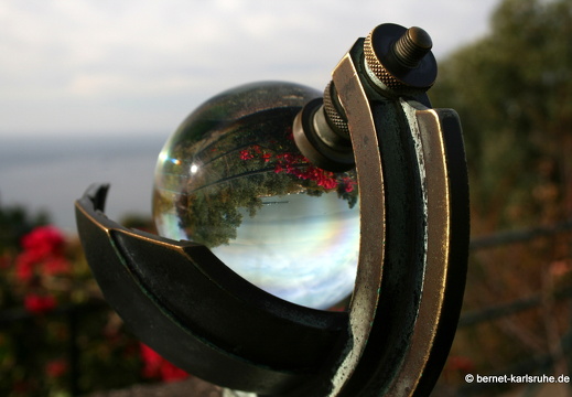 12-03-06-funchal-botanischer-garten-kugel-spiegelung-7