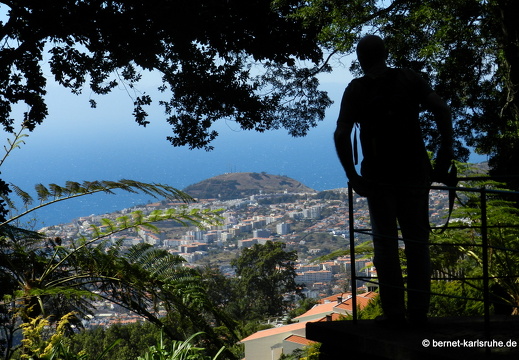 12-03-08-jardim-tropical-blick-auf-funchal-110
