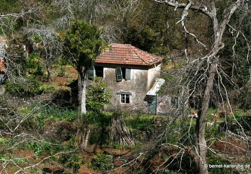 12-03-11-levada-serra-altes-haus-104