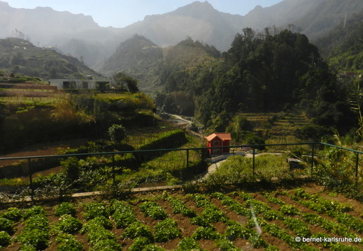 12-03-12-busfahrt-funchal-sao-vicente-112