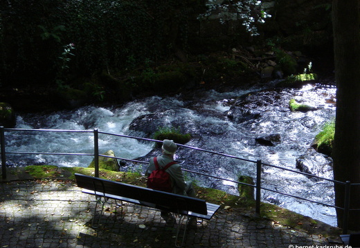 12-08-29-bad-wildbad-kurpark-237