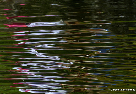 12-08-29-bad-wildbad-kurpark-spiegelung-044