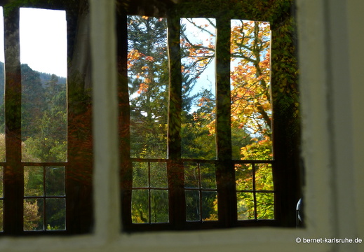 12-10-18-bad-wildbad-064