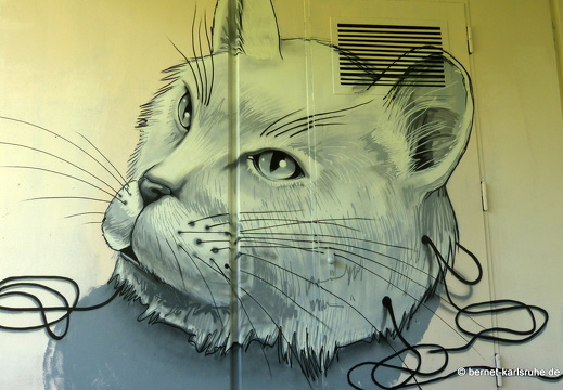 12-07-31-alb-graffiti-044