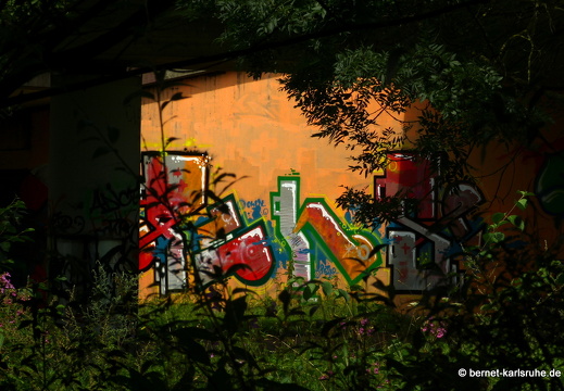 12-07-31-alb-graffiti-054