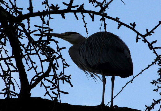 09-12-15-zoo 091