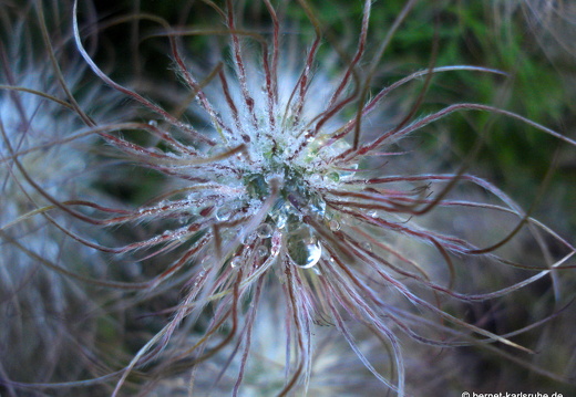 12-05-17-gruenwettersbach-kuechenschelle-021