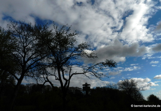 12-04-21-bergwald-aprilwetter-016