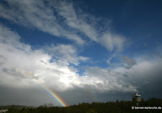 12-04-21-bergwald-aprilwetter-041
