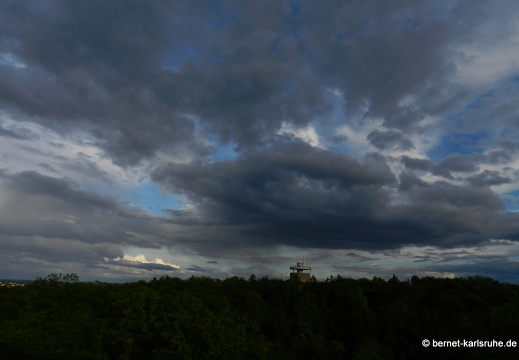 12-05-06-bergwald-regenwolken-008