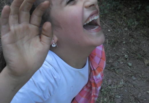 12-05-24-lenja-pferde-083