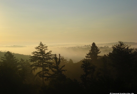 12-07-22-bergwald-sonnenaufgang-nebel-