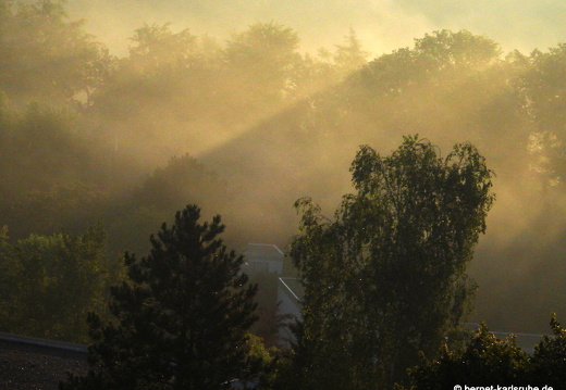 12-07-22-bergwald-sonnenaufgang-nebel-005