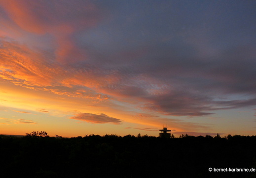 12-08-28-bergwald-sonnenaufgang-009