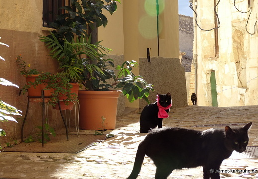 Valencia, Bocairent 2014