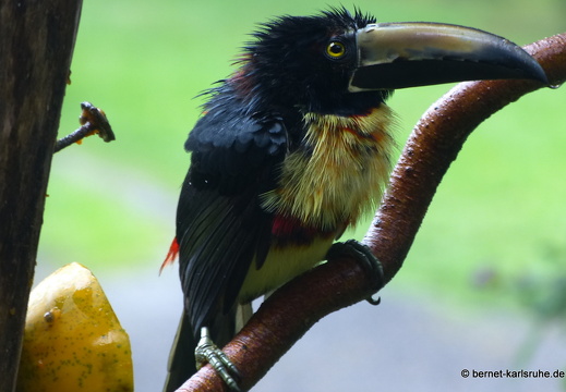 12-11-23-eco-observatory-071