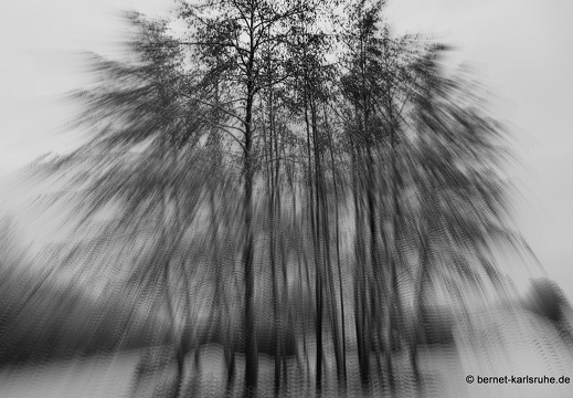 13-02-07-gruenwettersbach-schnee-011