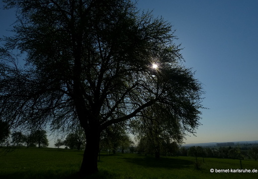 13-04-25-bergwald-funkturm-140