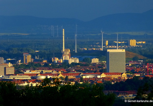 13-06-23-bergwald-aussicht-sonnenaufgang-014