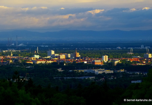 13-06-23-bergwald-aussicht-sonnenaufgang-019