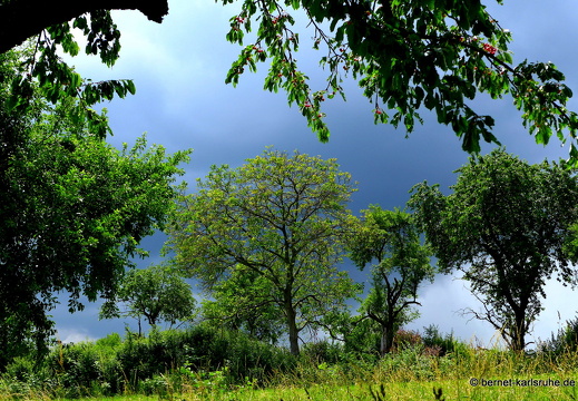 13-06-24-schrankenweg-015
