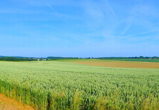 13-07-02-panorama-batzenhof-funkturm-wasserturm-turmberg-