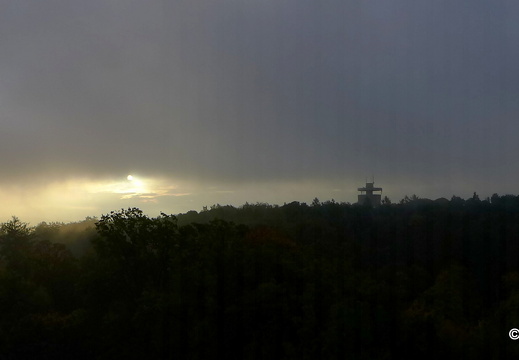 13-10-13-wasserturm-im nebel-