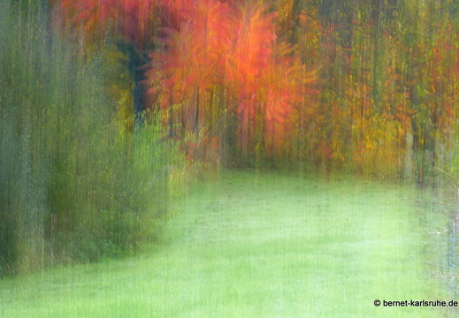 13-10-21-hohenwettersbach-herbstfarben-015