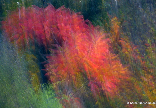 13-10-21-hohenwettersbach-herbstfarben-023