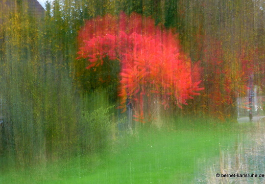 13-10-25-hohenwettersbach-herbstfarben-050
