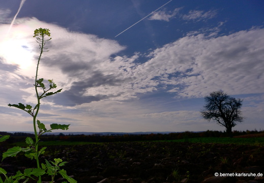 13-10-26-hohenwettersbach-029