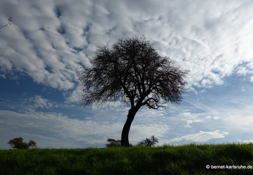 13-10-26-hohenwettersbach-086