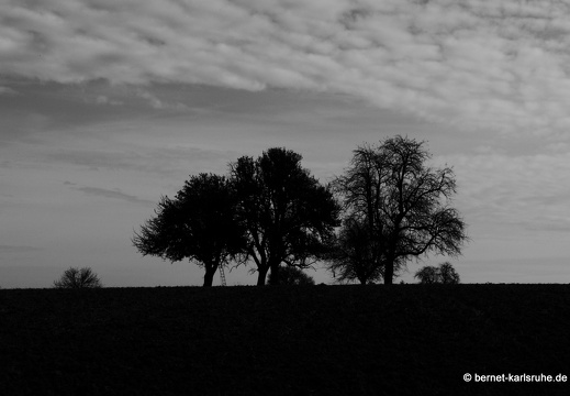 13-10-26-hohenwettersbach-114