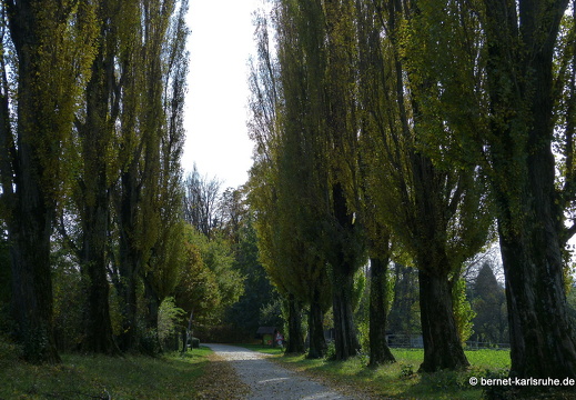 13-10-26-hohenwettersbach-pappelallee-153