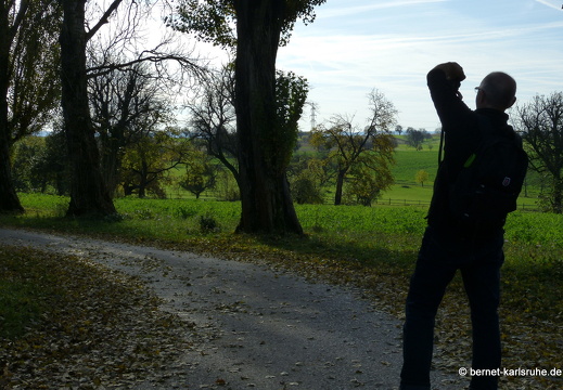 13-10-26-hohenwettersbach-pappelallee-156