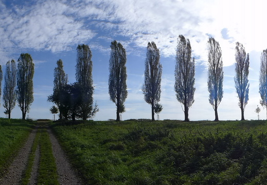 13-10-26-hohenwettersbach-pappelallee-186