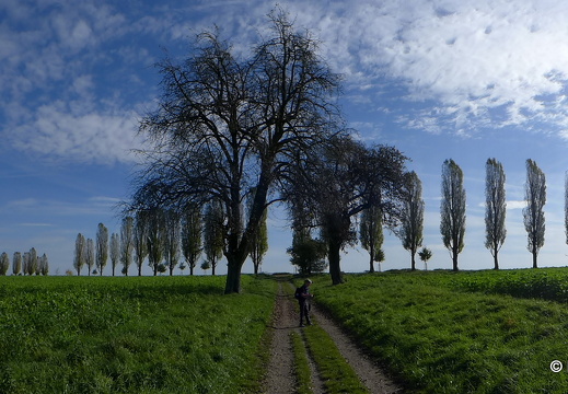 13-10-26-hohenwettersbach-pappelallee-187