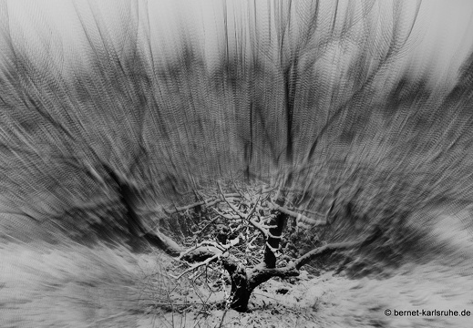 13-02-07-gruenwettersbach-schnee-010