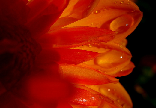 13-09-06-botanischer-garten-016
