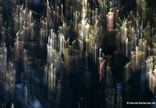 13-04-24-zoo-024