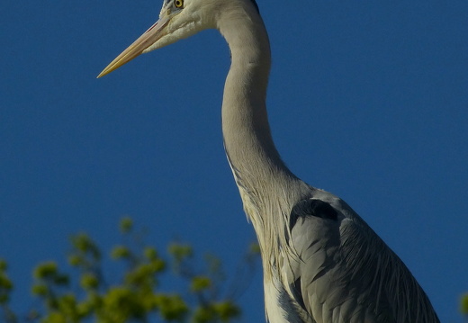 13-04-24-zoo-082